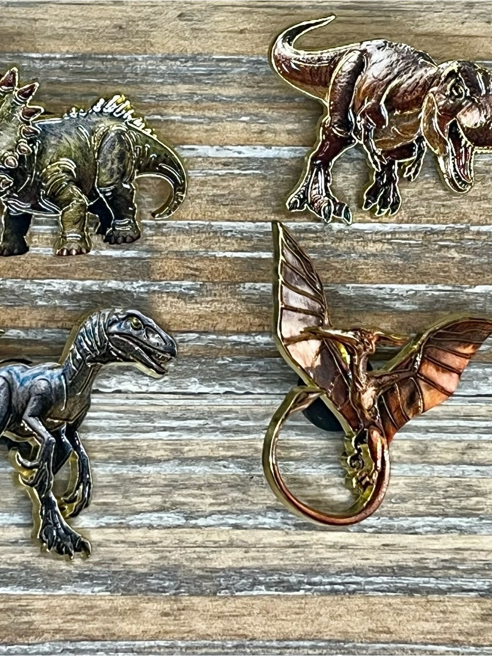Boutique Bundle: 4 Detailed Jurassic Dinosaur Enamel Lapel Pins - Picture 3 of 13